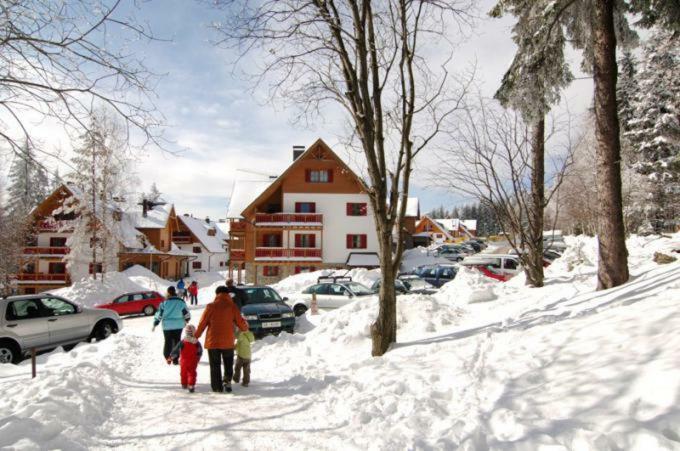 Antela, 142 M2 Appartment For 12 Person In Mariborsko Pohorje Hočko Pohorje المظهر الخارجي الصورة